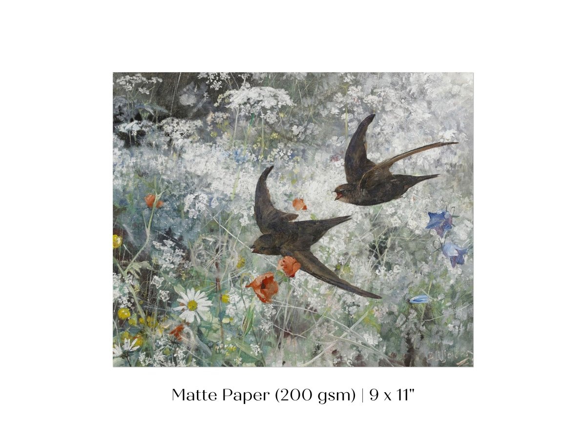 Common Swifts and Wildflowers | P442 - Single Art Prints - Piccolo Fiore Prints