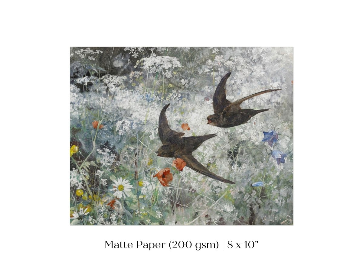 Common Swifts and Wildflowers | P442 - Single Art Prints - Piccolo Fiore Prints