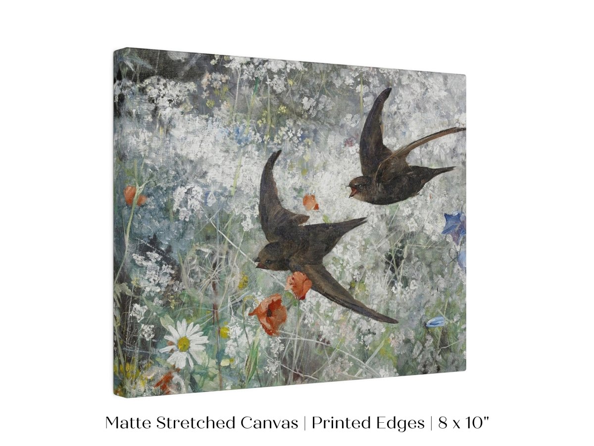 Common Swifts and Wildflowers | P442 - Single Art Prints - Piccolo Fiore Prints