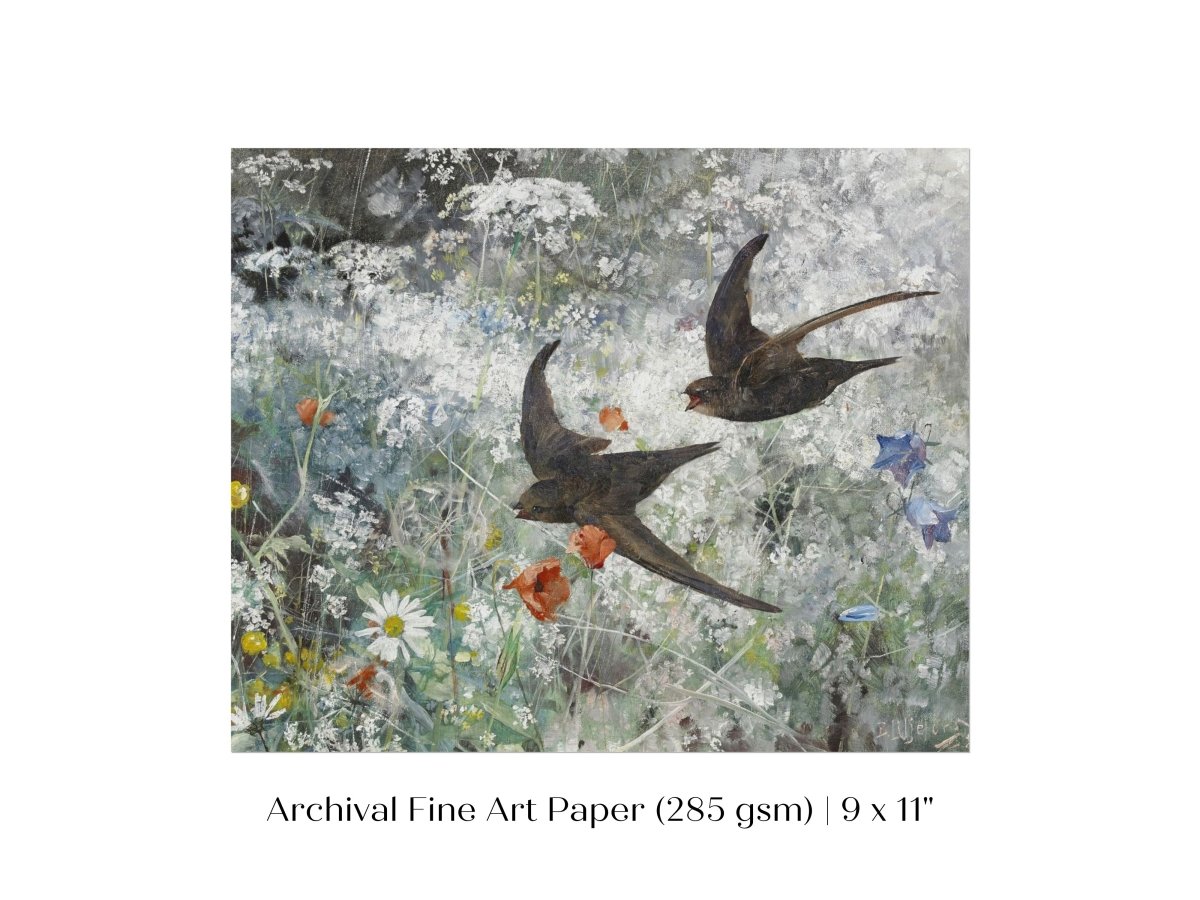 Common Swifts and Wildflowers | P442 - Single Art Prints - Piccolo Fiore Prints