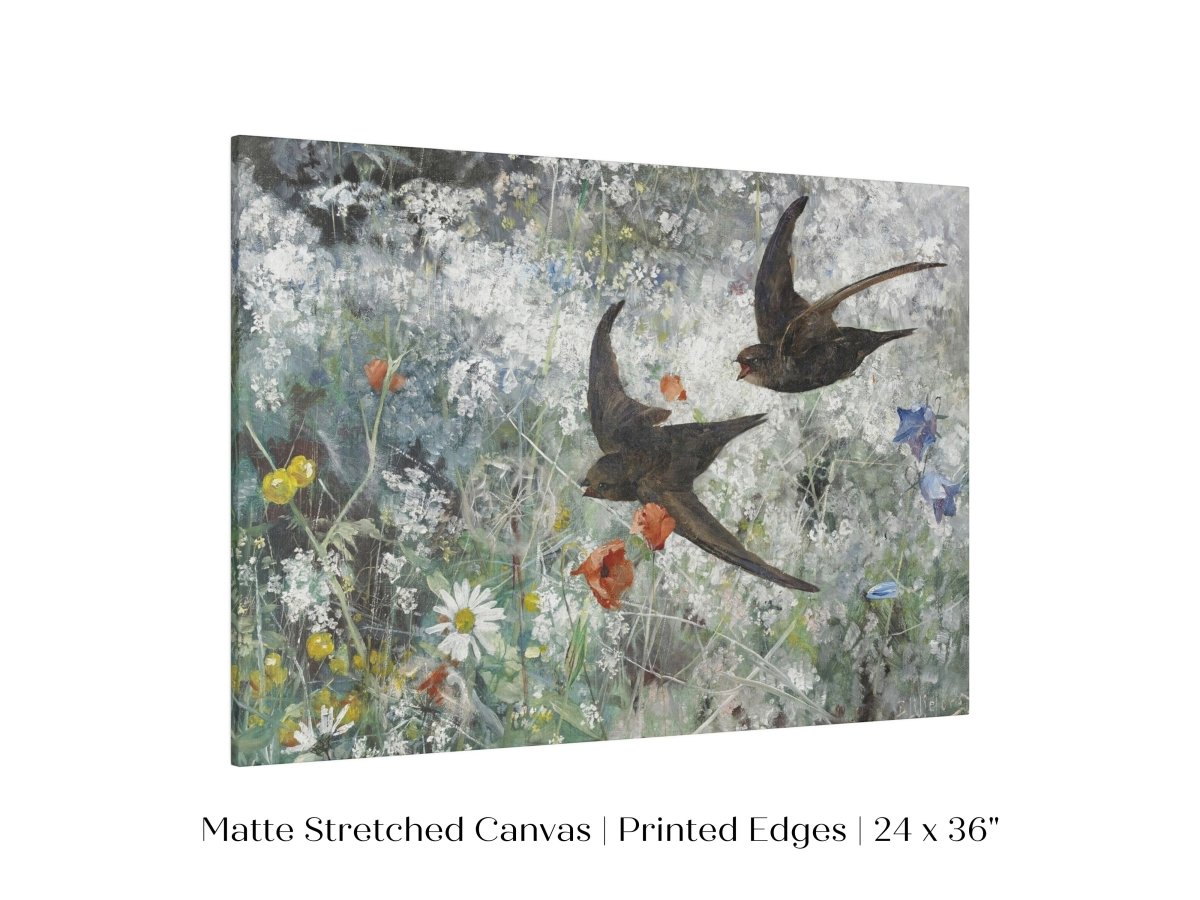 Common Swifts and Wildflowers | P442 - Single Art Prints - Piccolo Fiore Prints