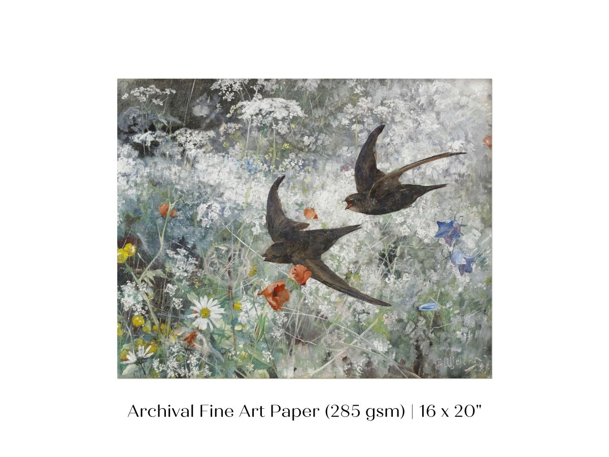 Common Swifts and Wildflowers | P442 - Single Art Prints - Piccolo Fiore Prints