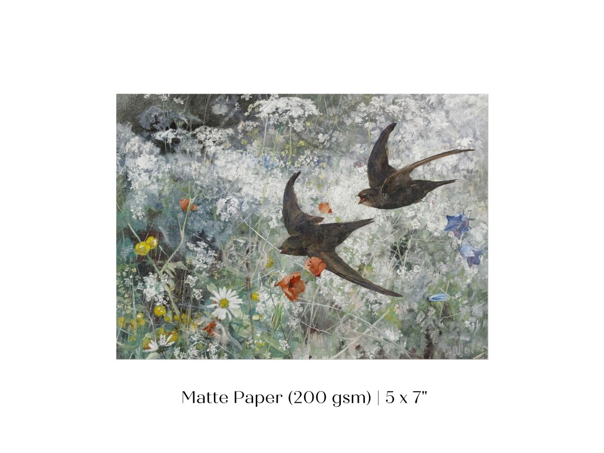 Common Swifts and Wildflowers | P442 - Single Art Prints - Piccolo Fiore Prints