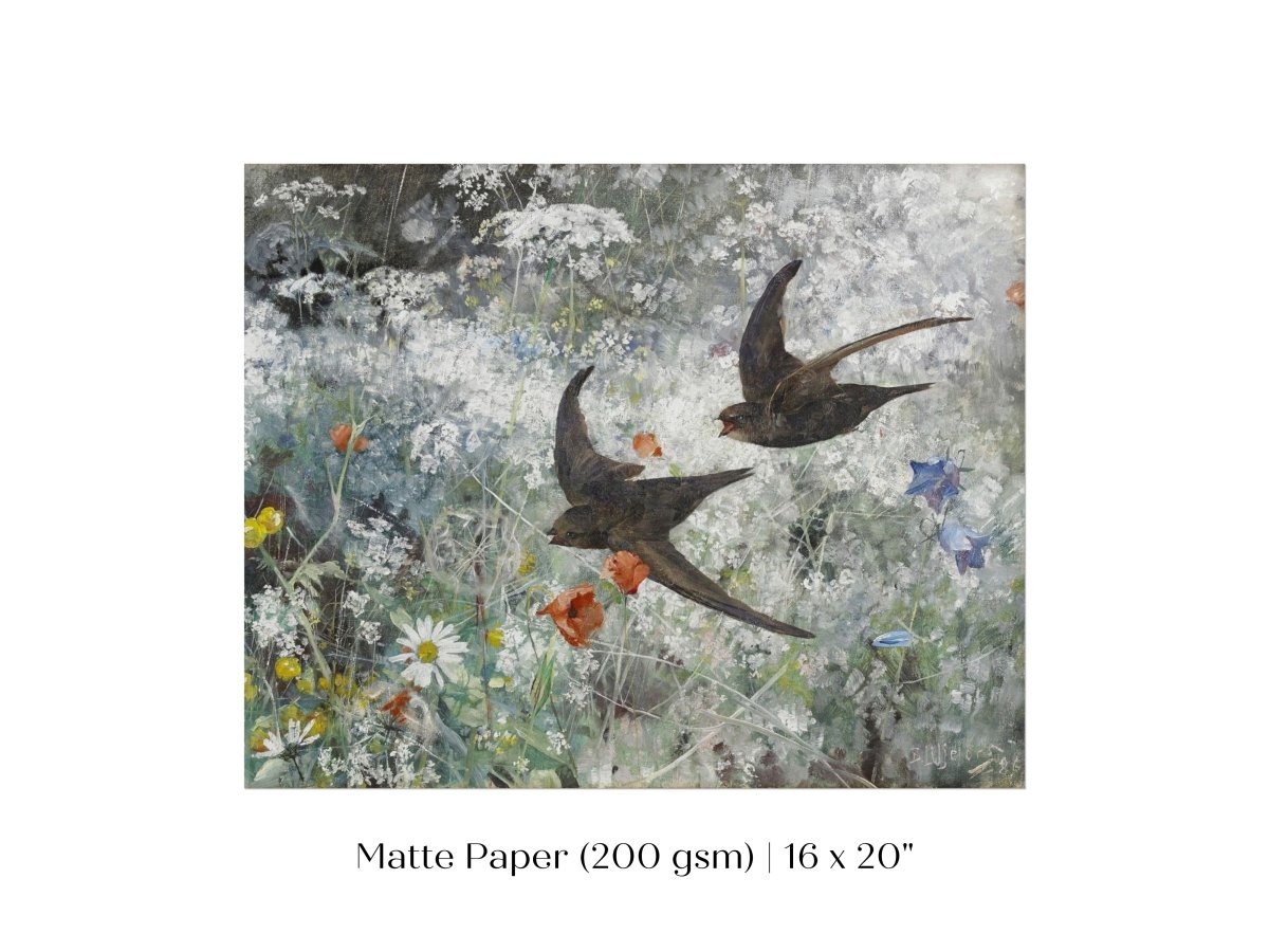 Common Swifts and Wildflowers | P442 - Single Art Prints - Piccolo Fiore Prints