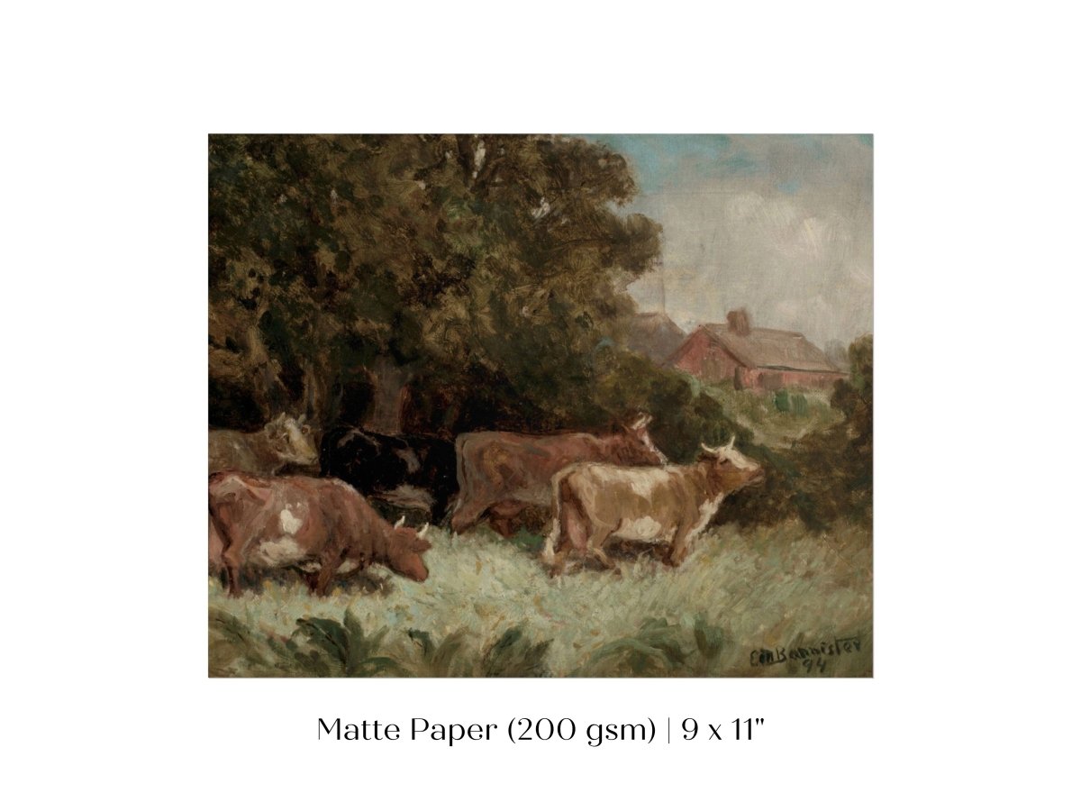 Cows Grazing | P369 - Single Art Prints - Piccolo Fiore Prints