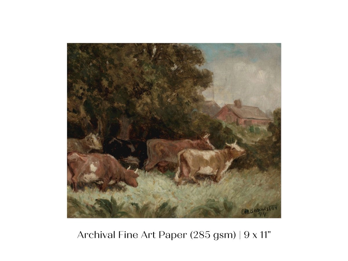 Cows Grazing | P369 - Single Art Prints - Piccolo Fiore Prints