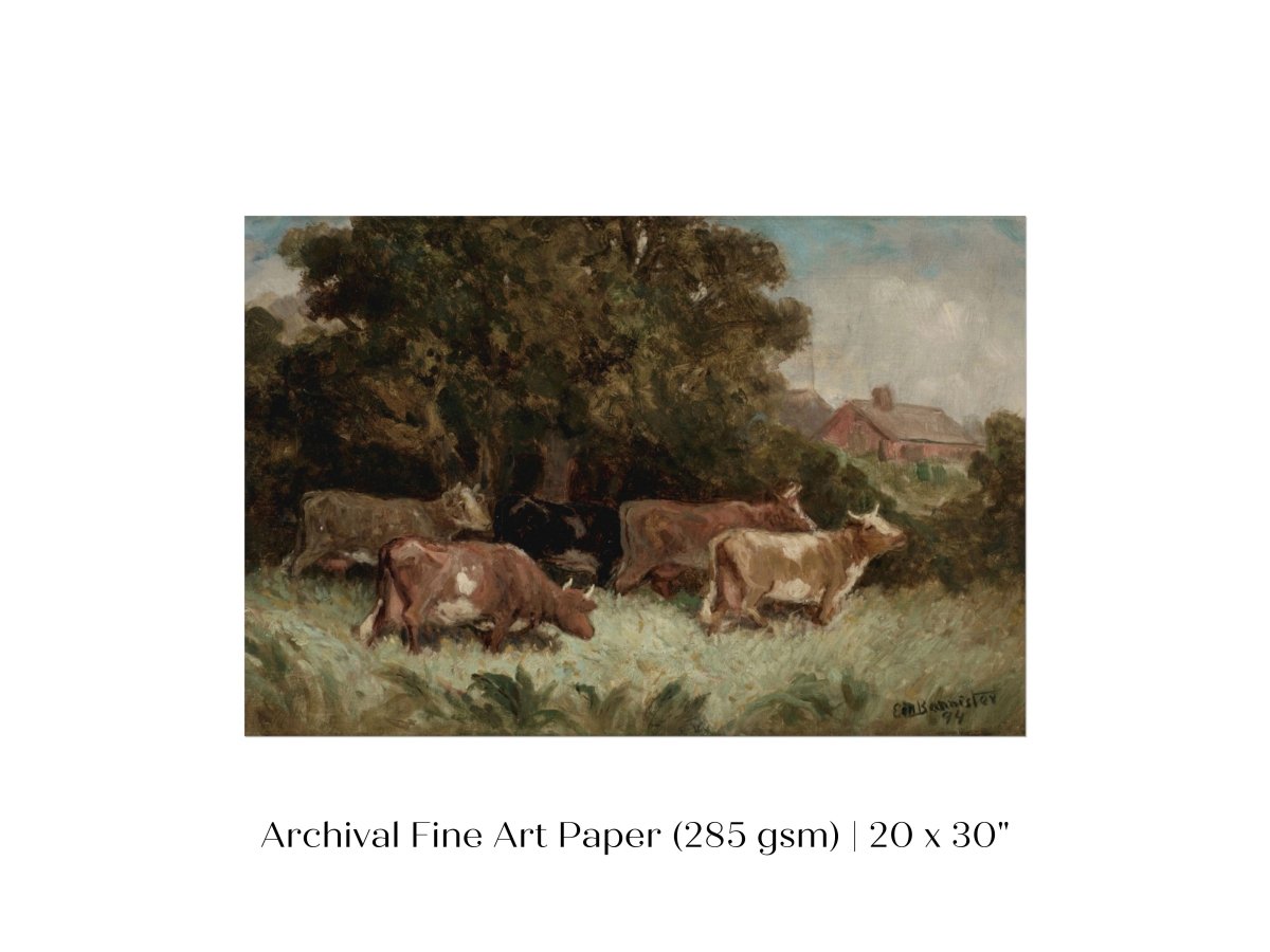 Cows Grazing | P369 - Single Art Prints - Piccolo Fiore Prints