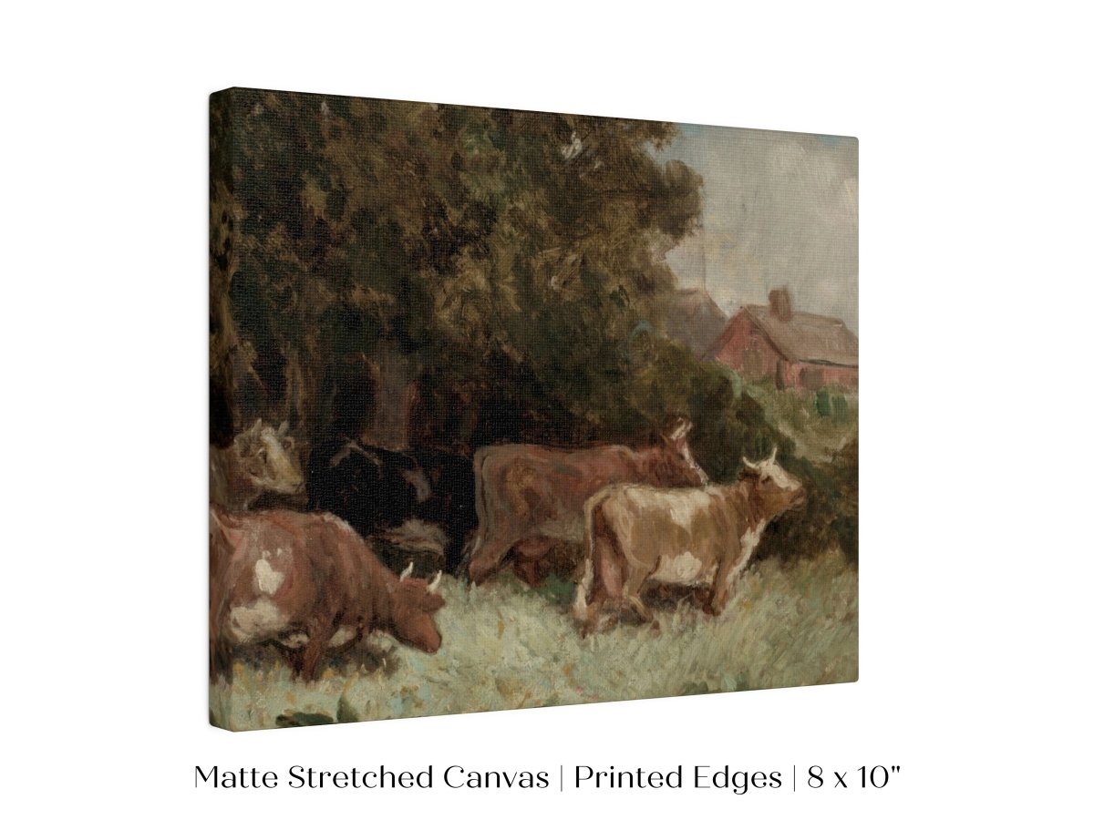 Cows Grazing | P369 - Single Art Prints - Piccolo Fiore Prints