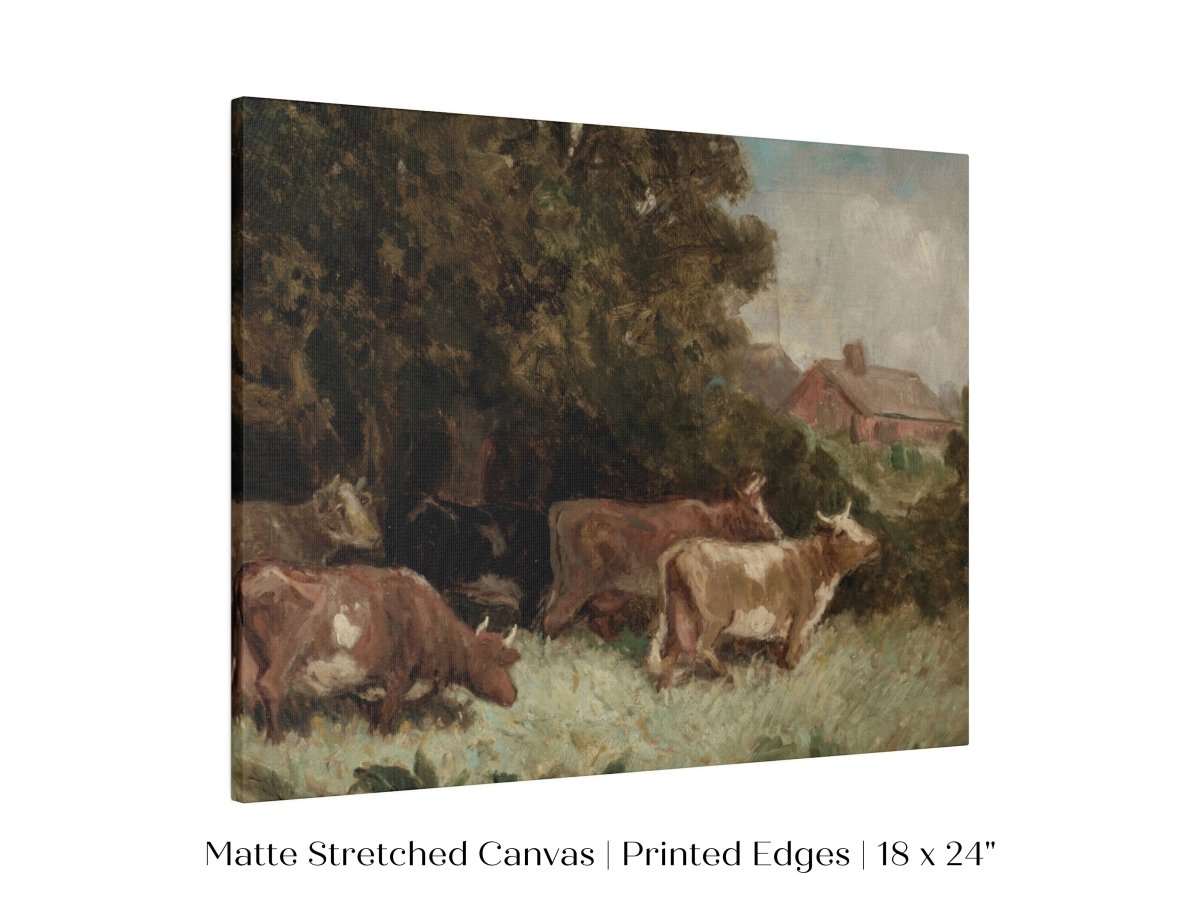 Cows Grazing | P369 - Single Art Prints - Piccolo Fiore Prints