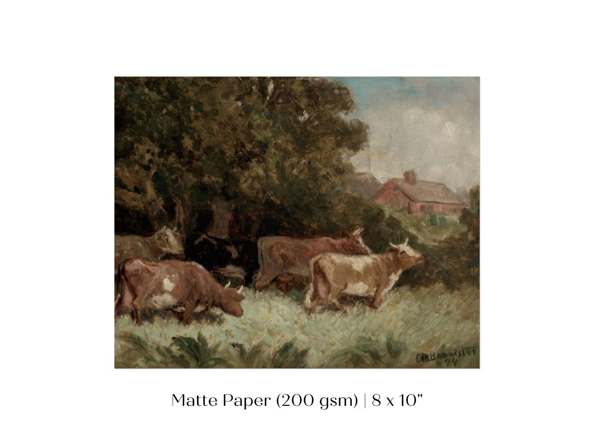 Cows Grazing | P369 - Single Art Prints - Piccolo Fiore Prints