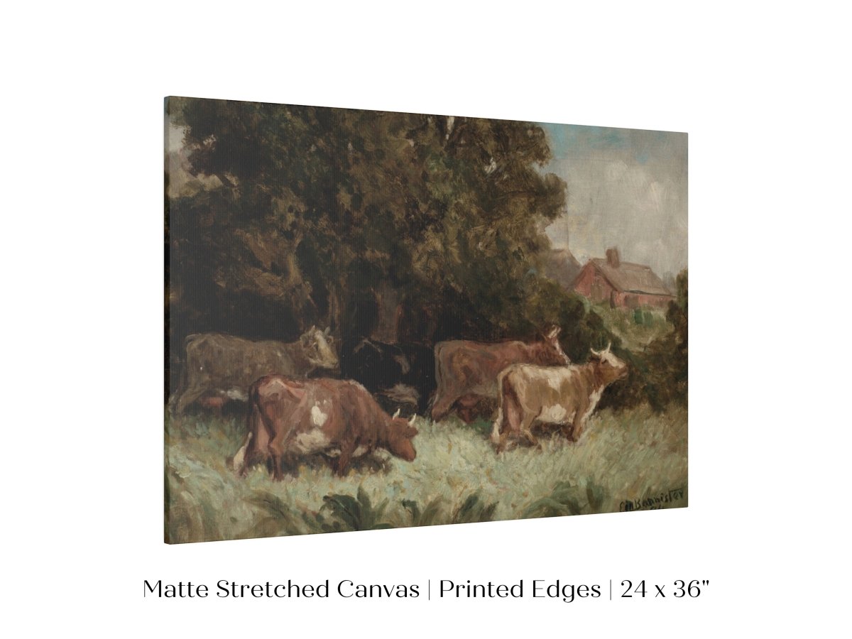 Cows Grazing | P369 - Single Art Prints - Piccolo Fiore Prints