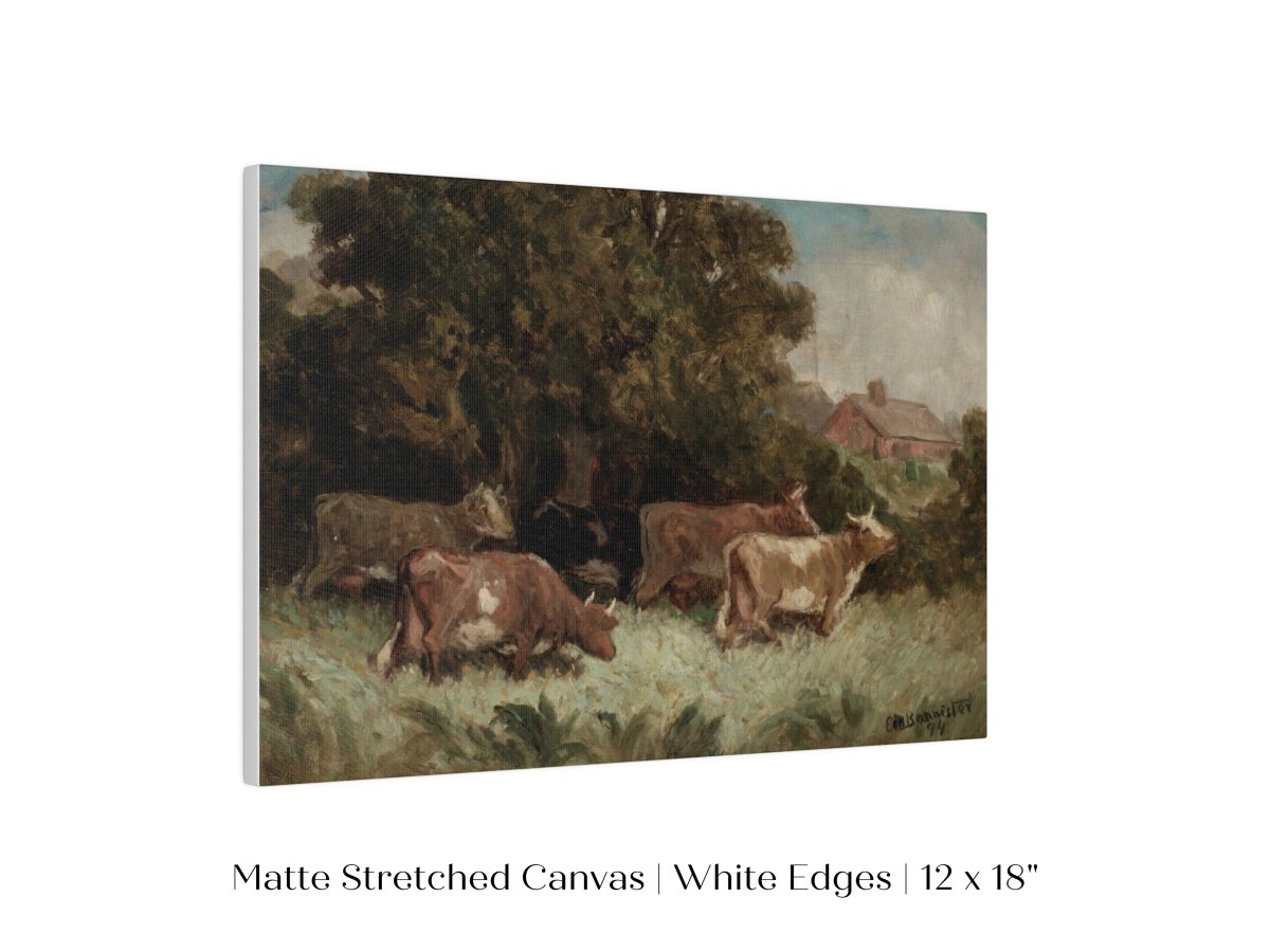 Cows Grazing | P369 - Single Art Prints - Piccolo Fiore Prints
