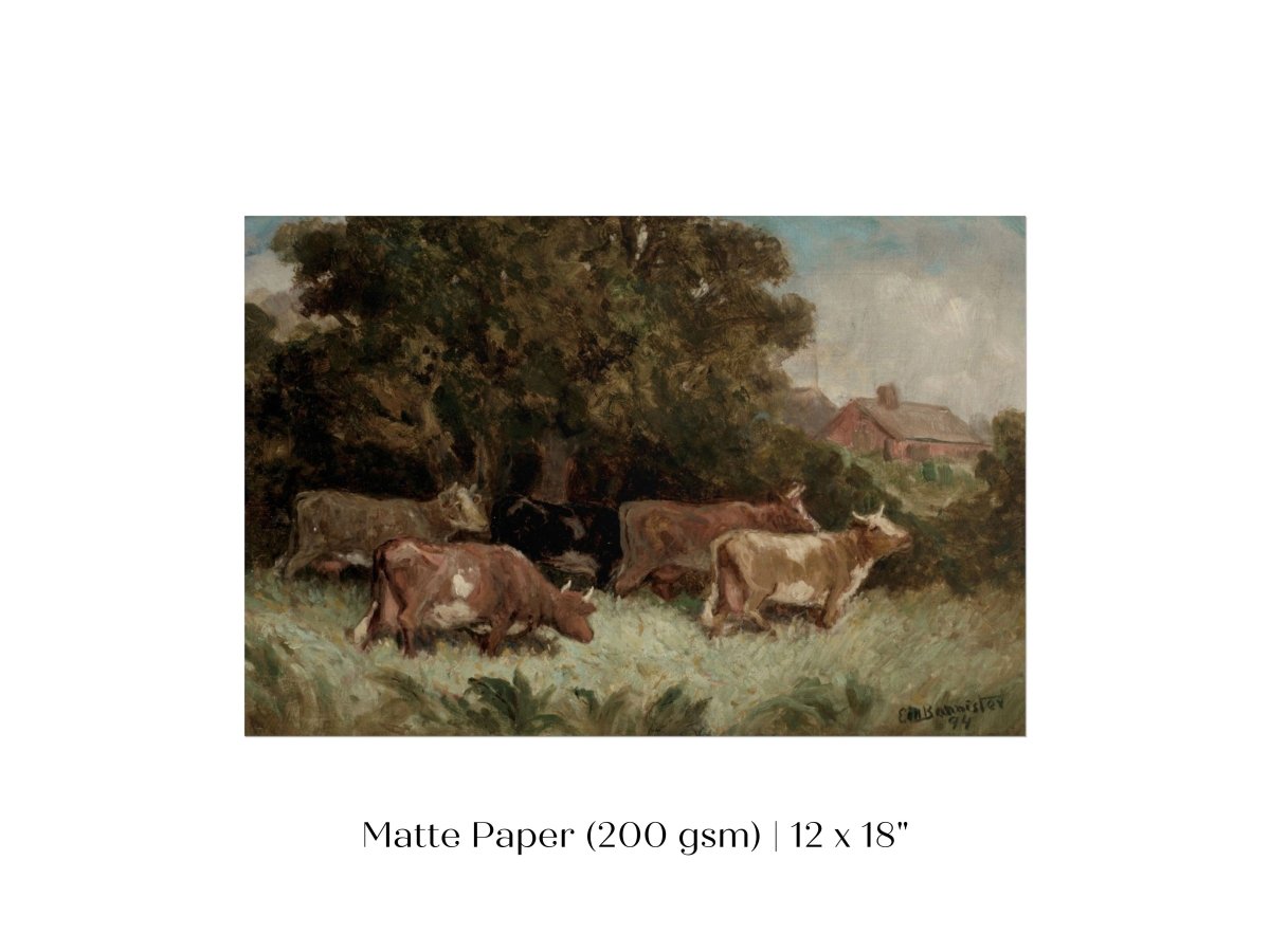 Cows Grazing | P369 - Single Art Prints - Piccolo Fiore Prints