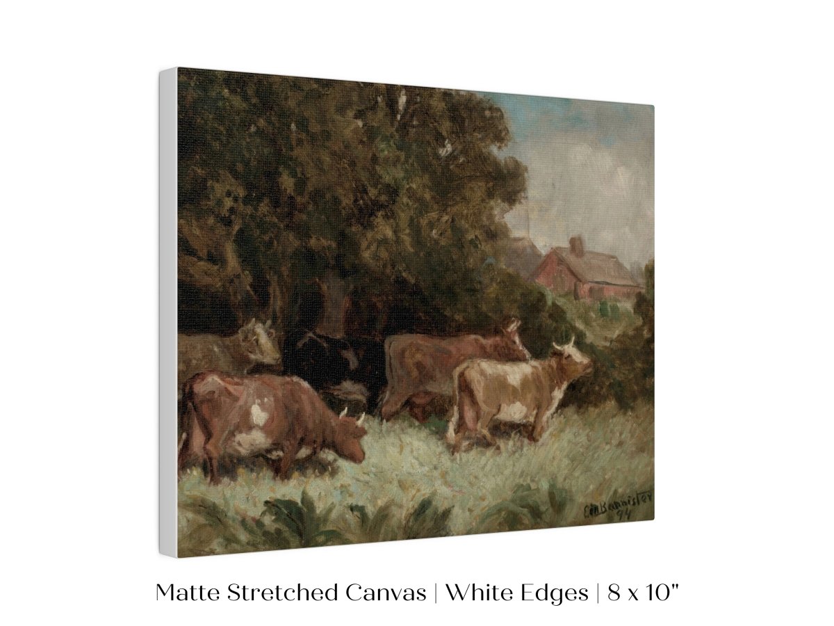 Cows Grazing | P369 - Single Art Prints - Piccolo Fiore Prints