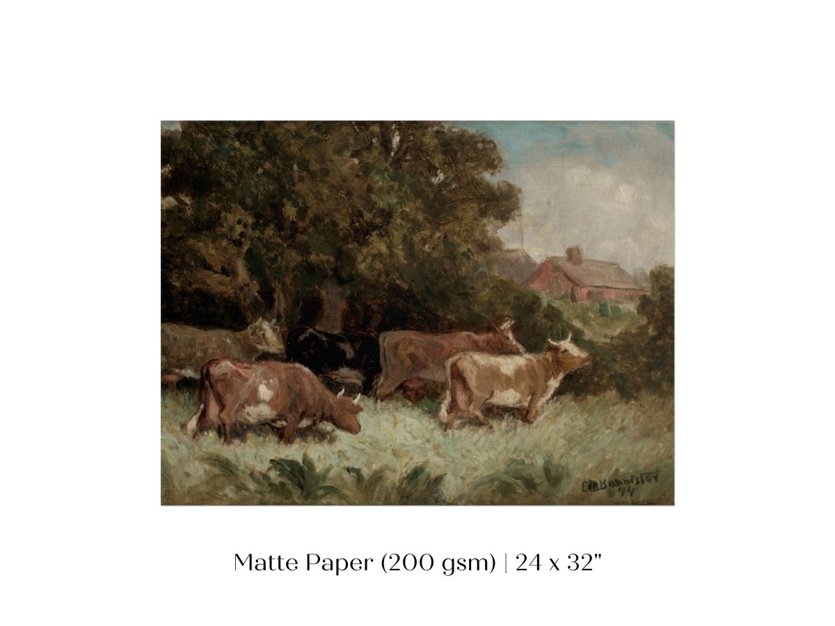Cows Grazing | P369 - Single Art Prints - Piccolo Fiore Prints