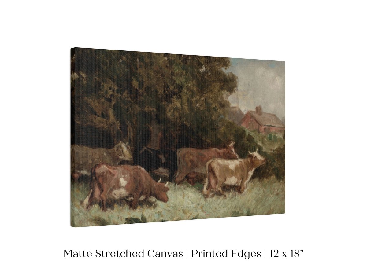 Cows Grazing | P369 - Single Art Prints - Piccolo Fiore Prints