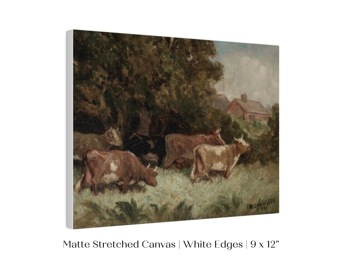 Cows Grazing | P369 - Single Art Prints - Piccolo Fiore Prints