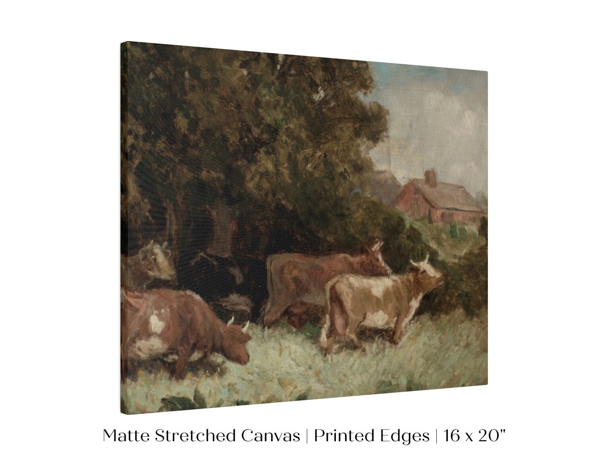 Cows Grazing | P369 - Single Art Prints - Piccolo Fiore Prints