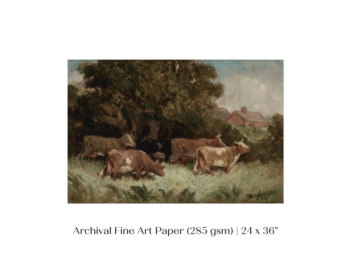 Cows Grazing | P369 - Single Art Prints - Piccolo Fiore Prints