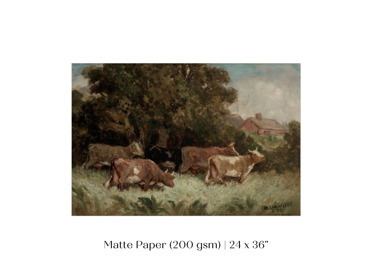 Cows Grazing | P369 - Single Art Prints - Piccolo Fiore Prints