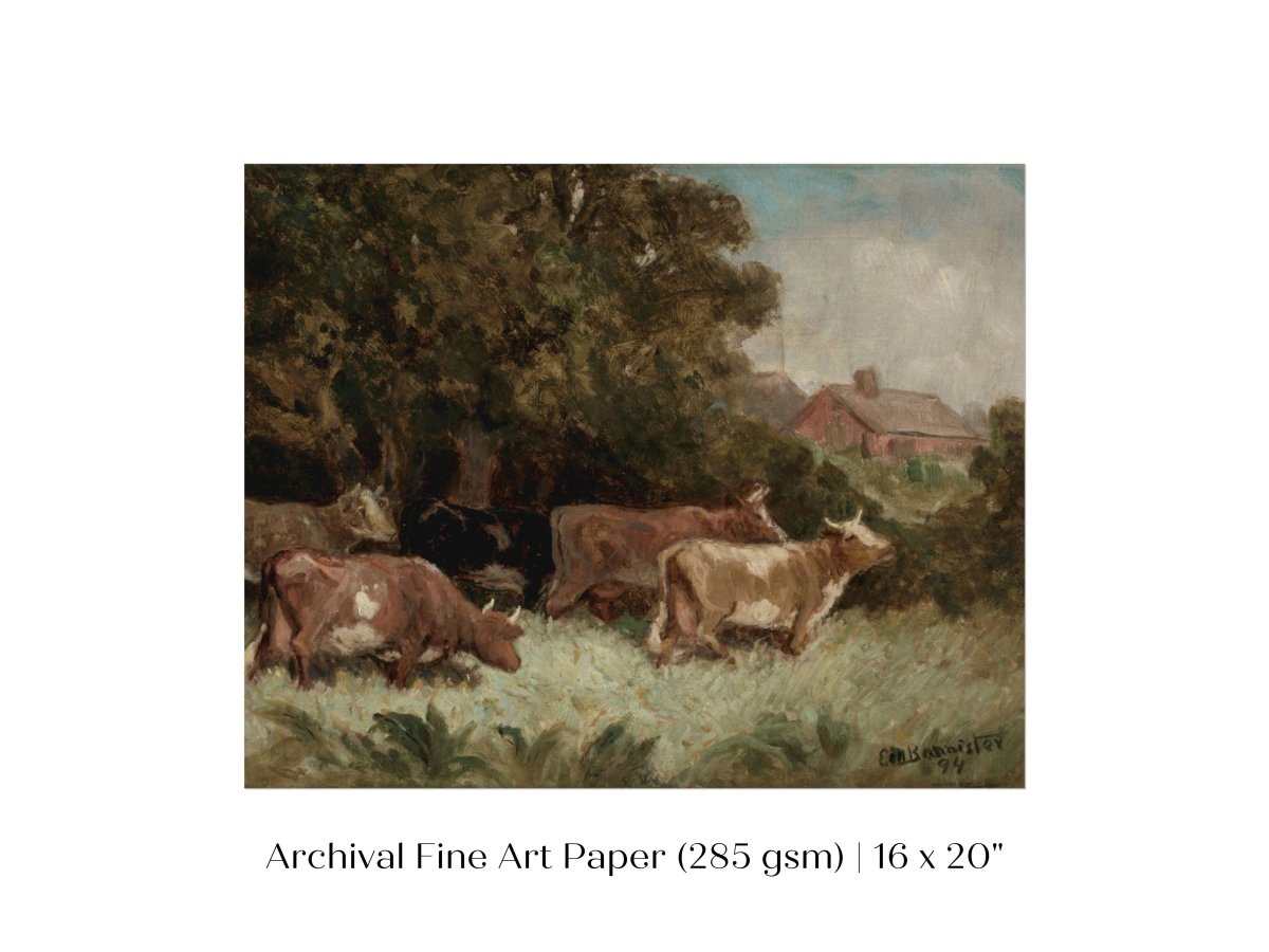 Cows Grazing | P369 - Single Art Prints - Piccolo Fiore Prints