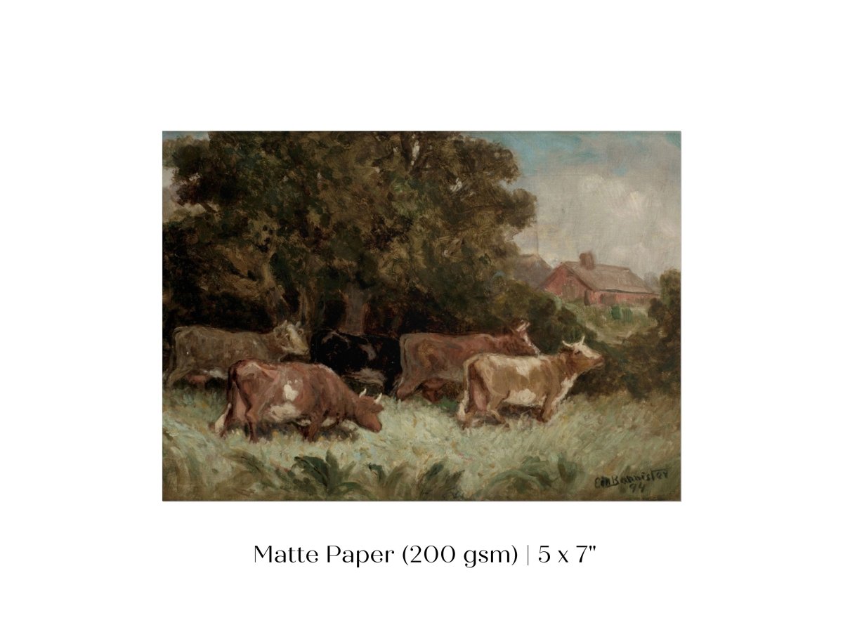 Cows Grazing | P369 - Single Art Prints - Piccolo Fiore Prints