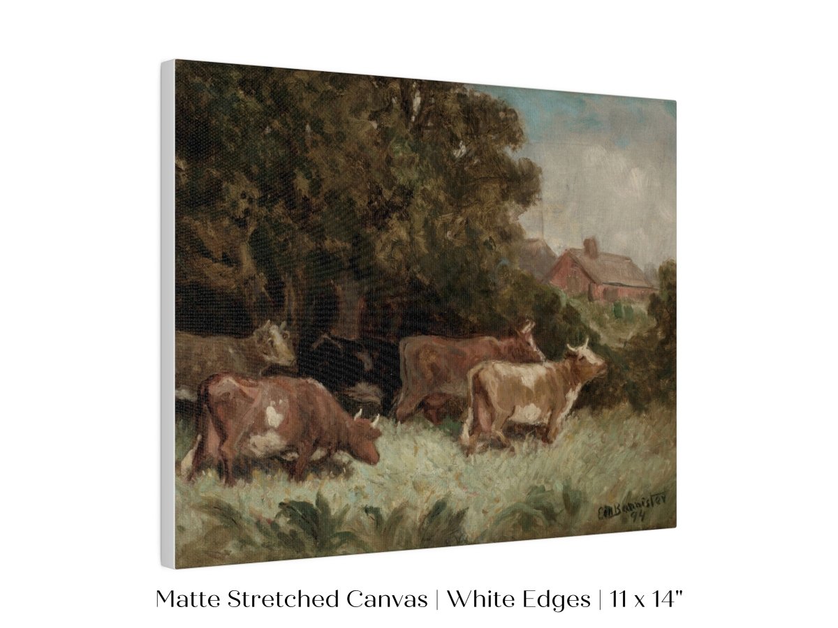 Cows Grazing | P369 - Single Art Prints - Piccolo Fiore Prints