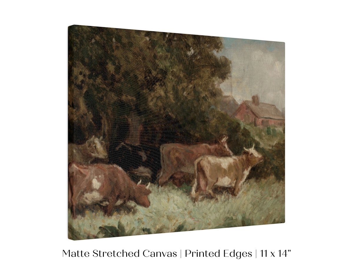 Cows Grazing | P369 - Single Art Prints - Piccolo Fiore Prints