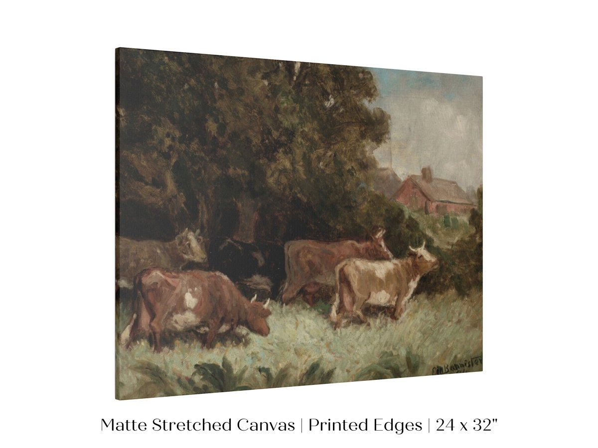 Cows Grazing | P369 - Single Art Prints - Piccolo Fiore Prints