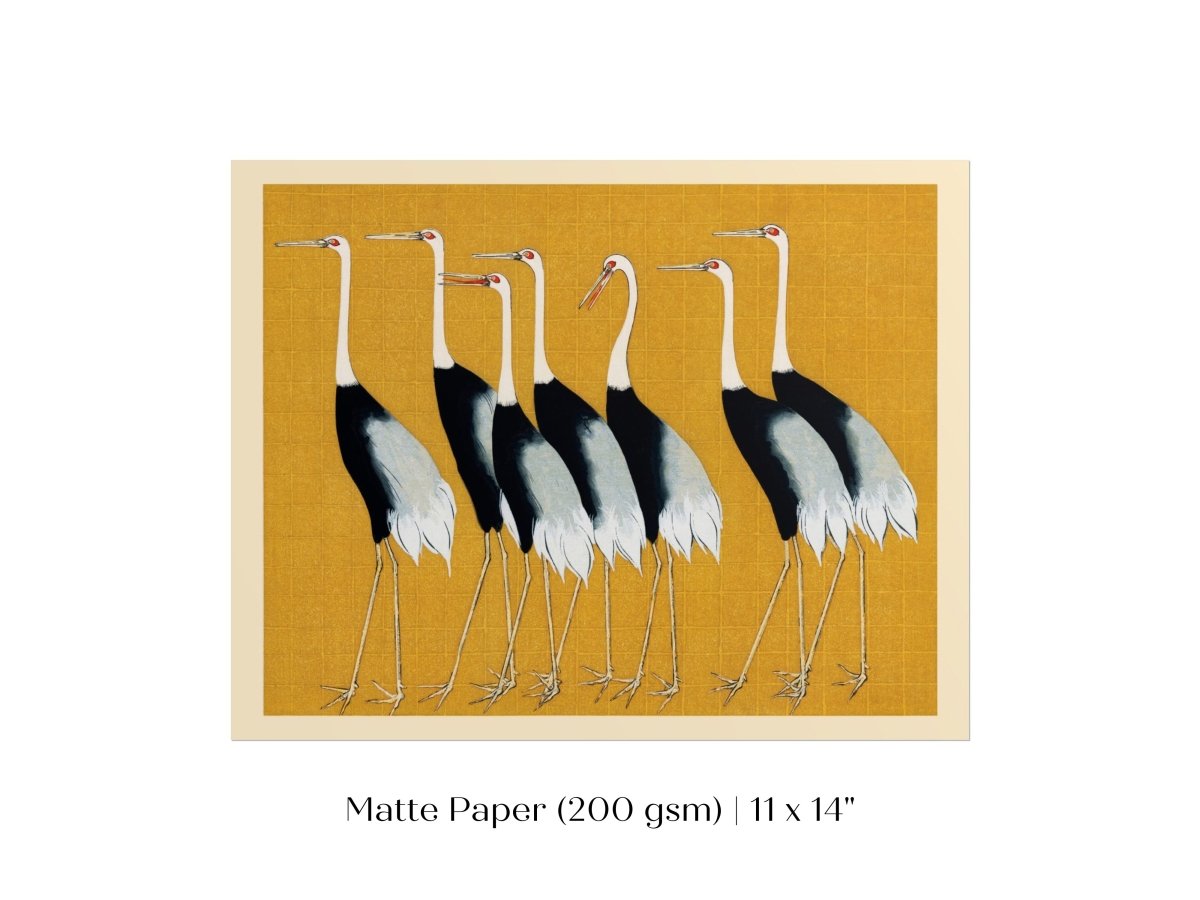 Crane Birds | P352 - Single Art Prints - Piccolo Fiore Prints
