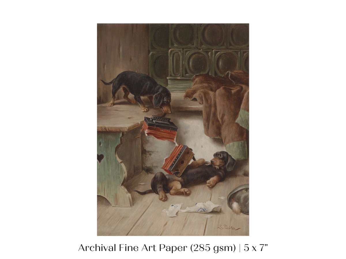 Dachshunds and Concertina | P414 - Single Art Prints - Piccolo Fiore Prints