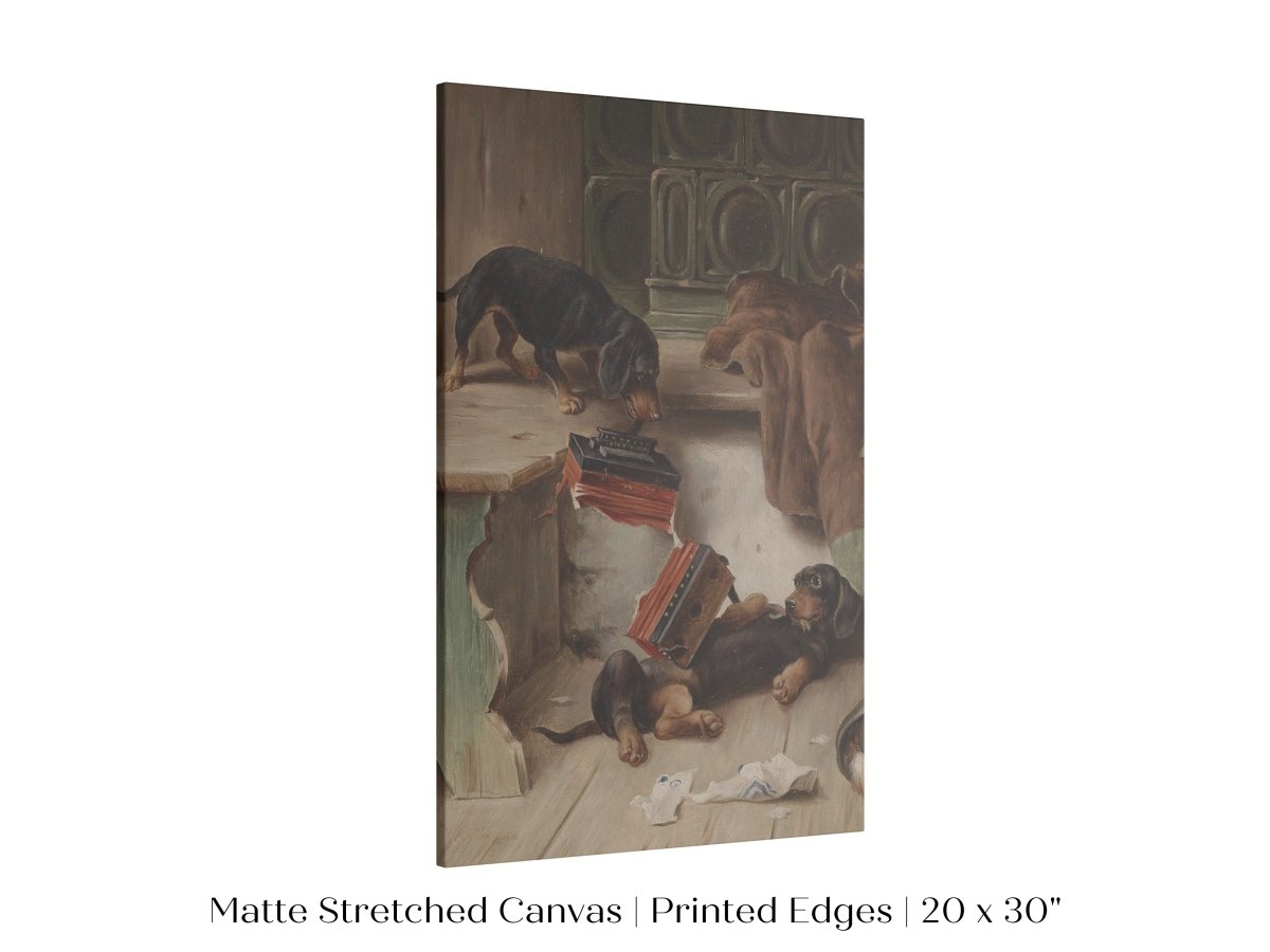 Dachshunds and Concertina | P414 - Single Art Prints - Piccolo Fiore Prints