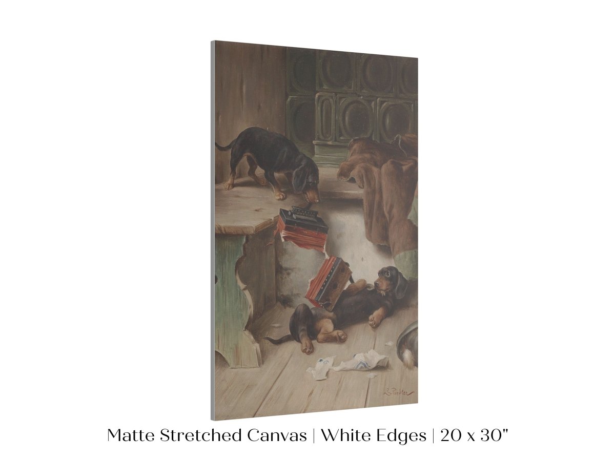 Dachshunds and Concertina | P414 - Single Art Prints - Piccolo Fiore Prints