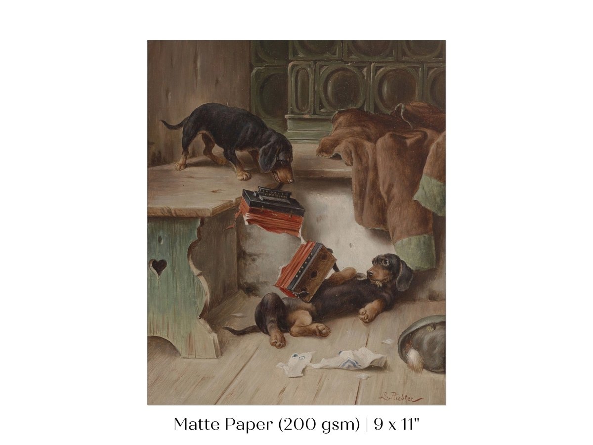 Dachshunds and Concertina | P414 - Single Art Prints - Piccolo Fiore Prints