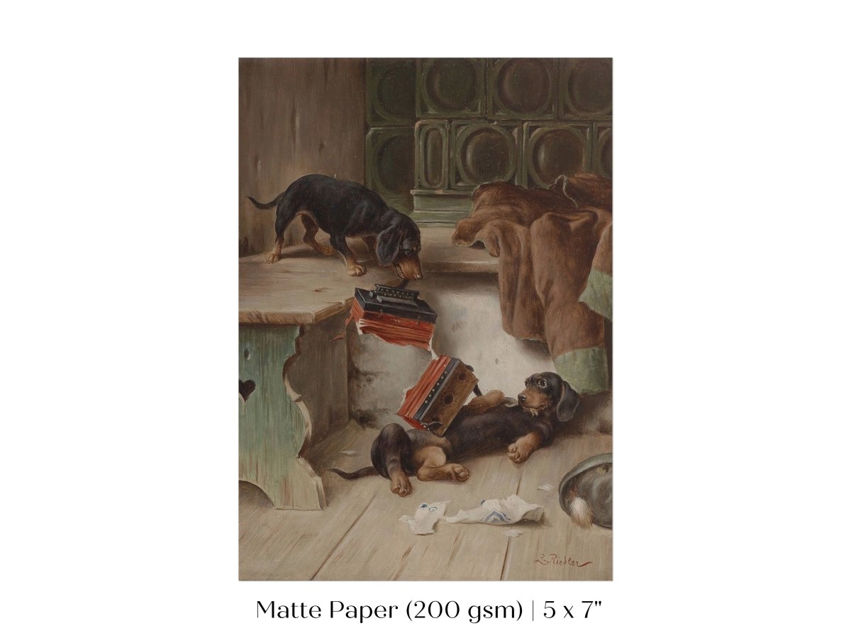 Dachshunds and Concertina | P414 - Single Art Prints - Piccolo Fiore Prints