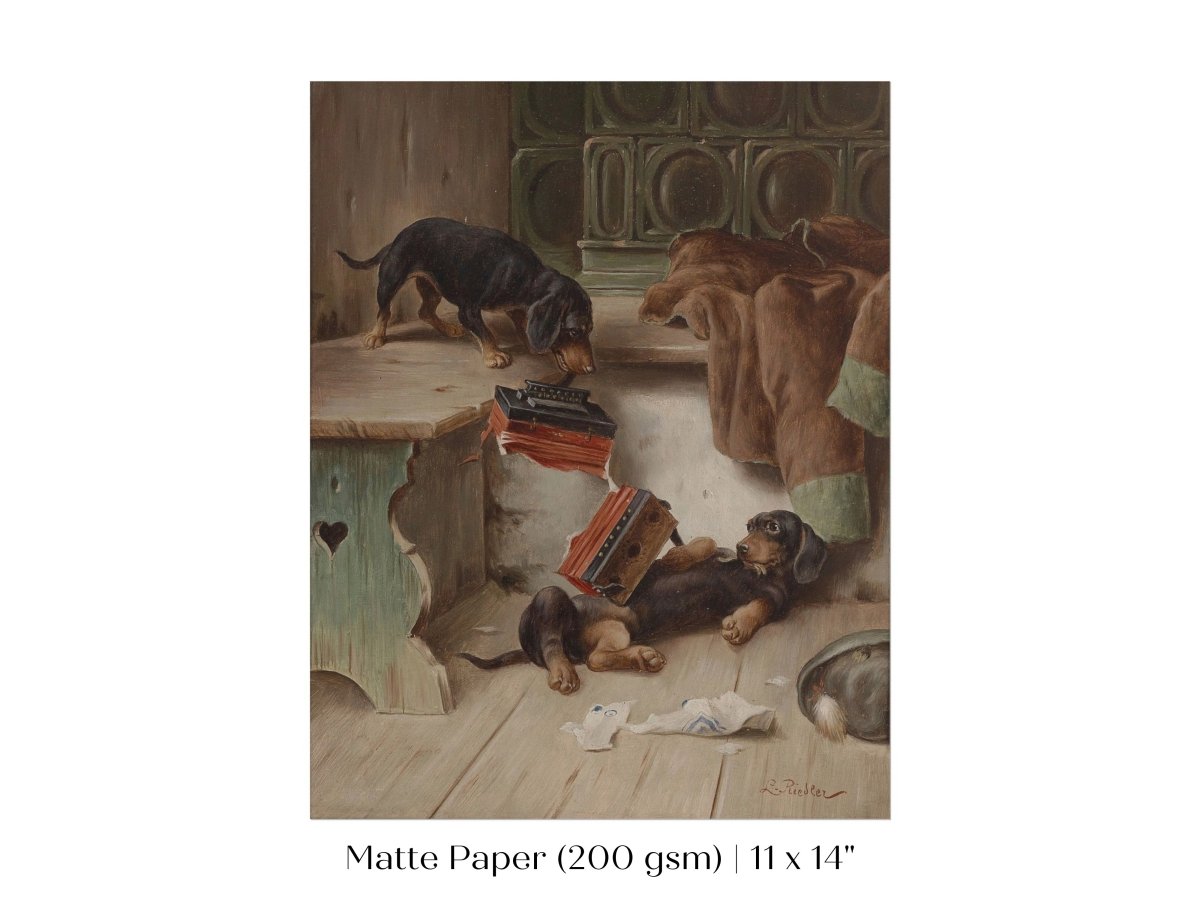 Dachshunds and Concertina | P414 - Single Art Prints - Piccolo Fiore Prints