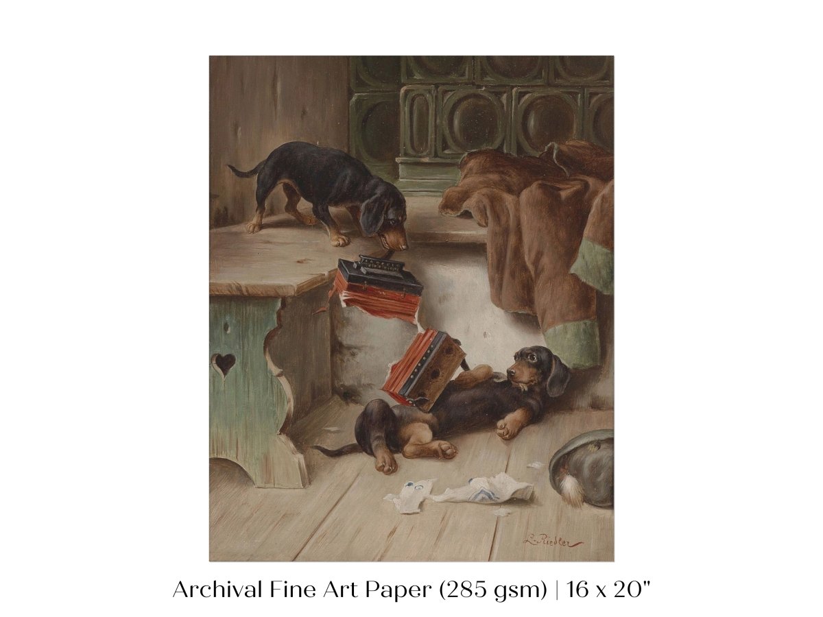 Dachshunds and Concertina | P414 - Single Art Prints - Piccolo Fiore Prints