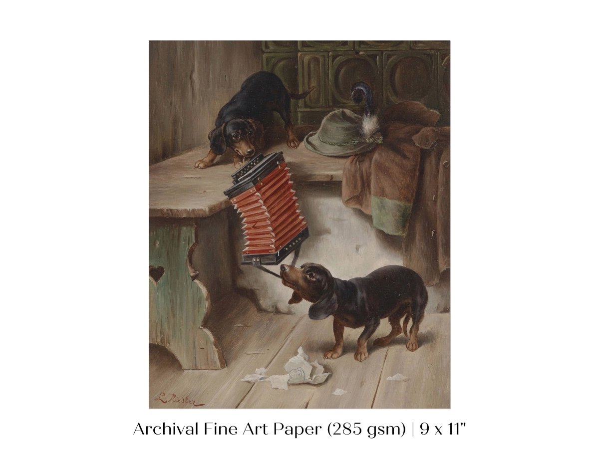 Dachshunds and Concertina | P415 - Single Art Prints - Piccolo Fiore Prints