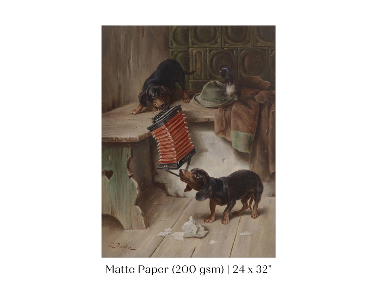 Dachshunds and Concertina | P415 - Single Art Prints - Piccolo Fiore Prints