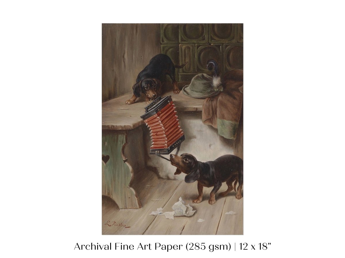 Dachshunds and Concertina | P415 - Single Art Prints - Piccolo Fiore Prints