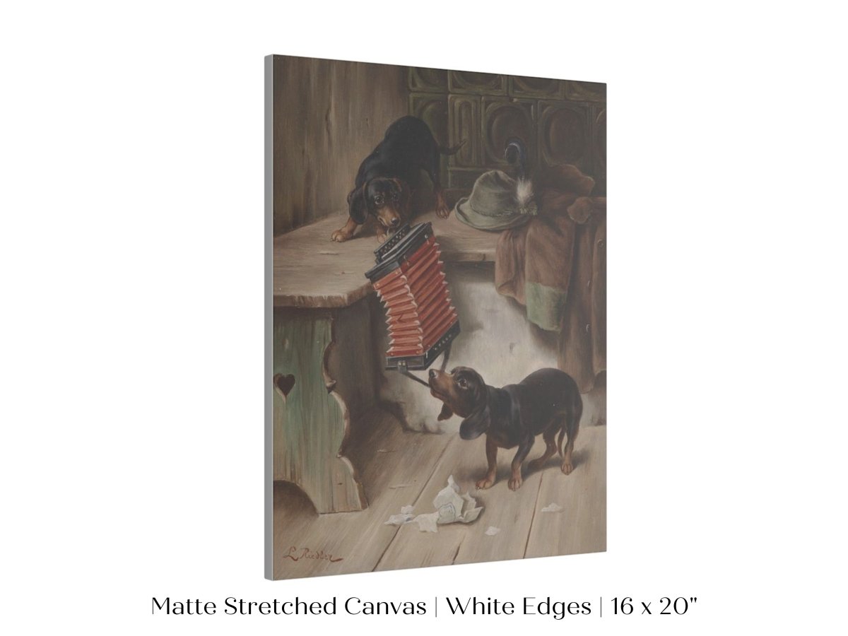 Dachshunds and Concertina | P415 - Single Art Prints - Piccolo Fiore Prints