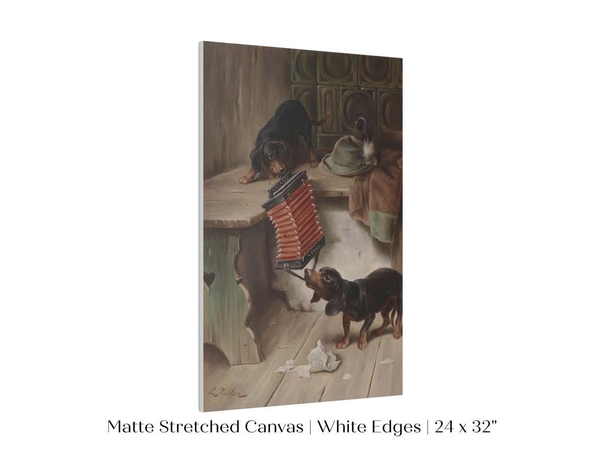 Dachshunds and Concertina | P415 - Single Art Prints - Piccolo Fiore Prints
