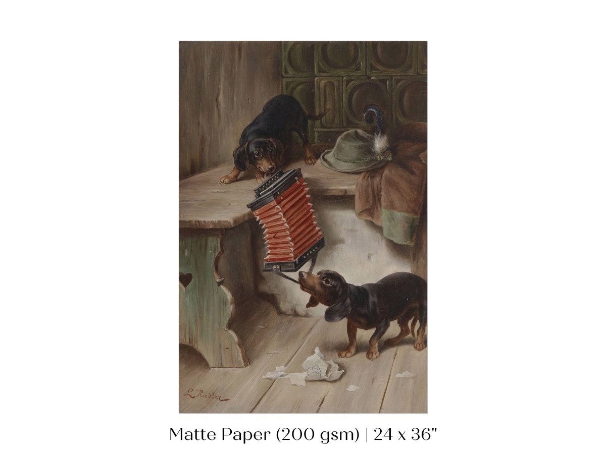 Dachshunds and Concertina | P415 - Single Art Prints - Piccolo Fiore Prints