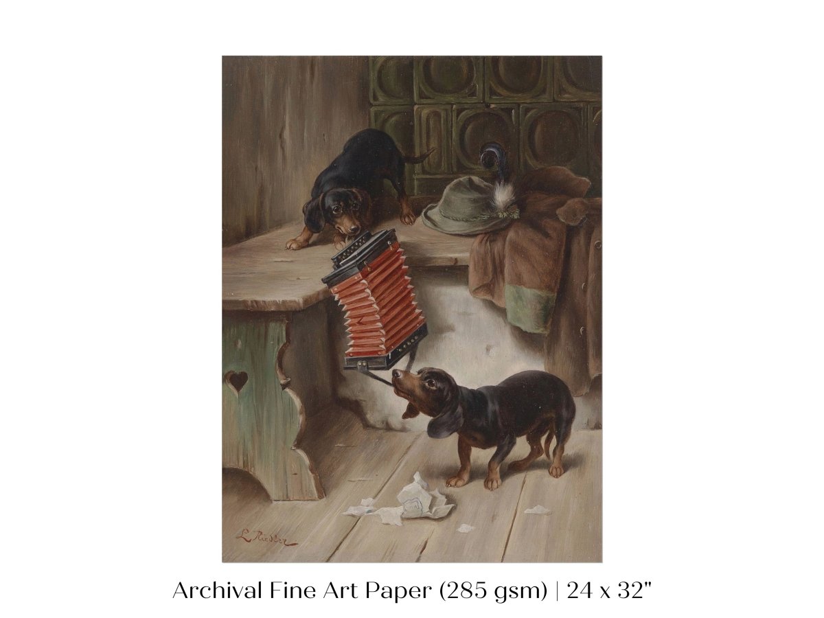 Dachshunds and Concertina | P415 - Single Art Prints - Piccolo Fiore Prints