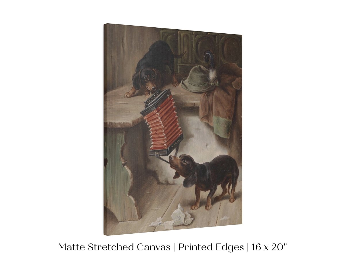 Dachshunds and Concertina | P415 - Single Art Prints - Piccolo Fiore Prints