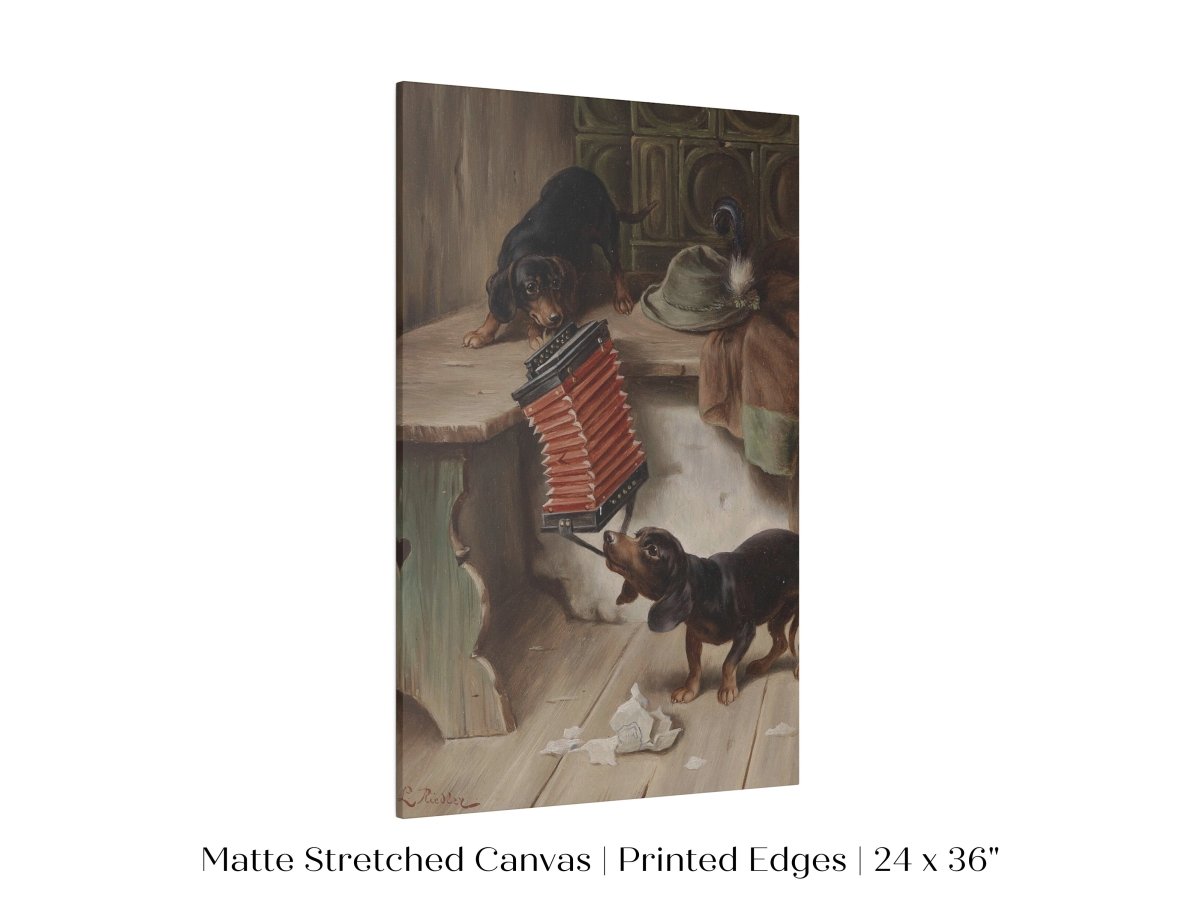 Dachshunds and Concertina | P415 - Single Art Prints - Piccolo Fiore Prints