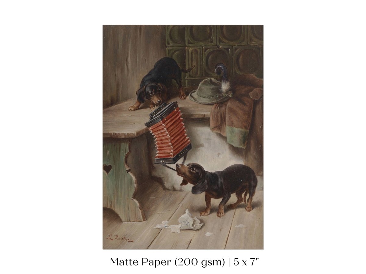 Dachshunds and Concertina | P415 - Single Art Prints - Piccolo Fiore Prints