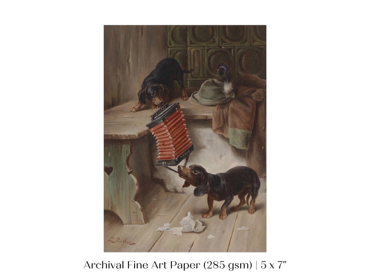 Dachshunds and Concertina | P415 - Single Art Prints - Piccolo Fiore Prints