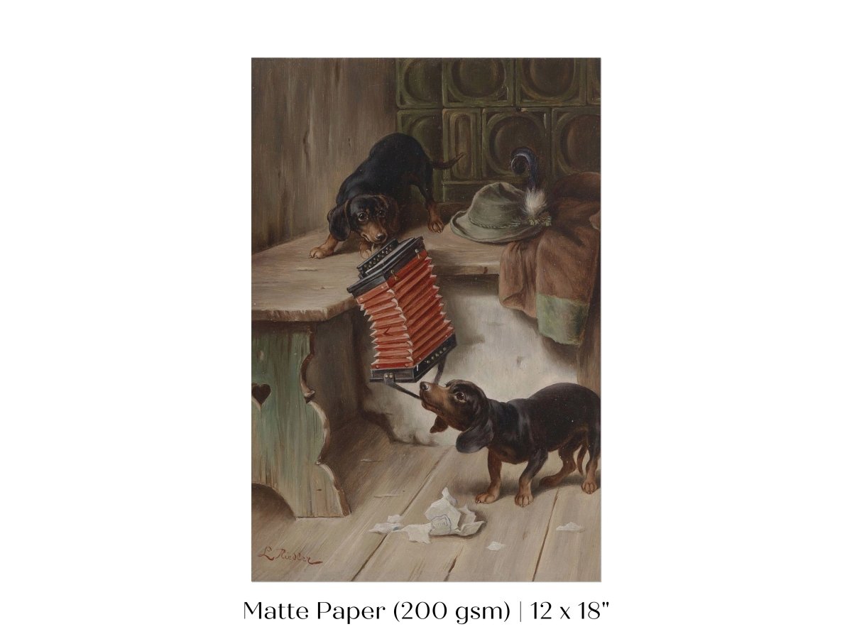 Dachshunds and Concertina | P415 - Single Art Prints - Piccolo Fiore Prints