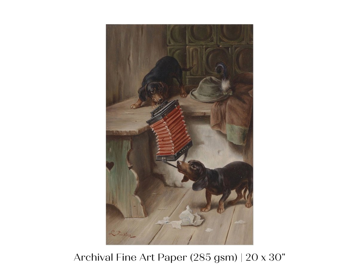 Dachshunds and Concertina | P415 - Single Art Prints - Piccolo Fiore Prints